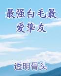 最强白毛最爱挚友